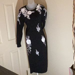 Lily &Taylor Knit Dress